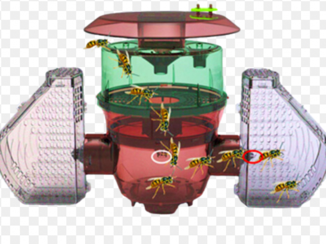 Pièges pour Frelons asiatiques (à pattes jaune)