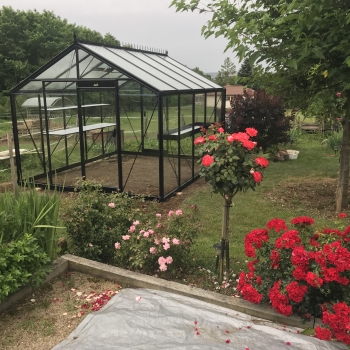 R305 Blackline fleur serre de jardin laquée RAL 9005