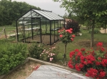 R305 Blackline fleur serre de jardin laquée RAL 9005