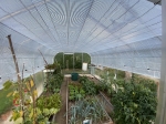 R307 alu intérieur plantes