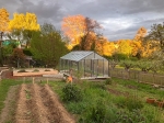 serre jardin verre