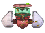 VelutinaTrap