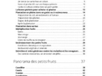 petits-fruits-delices-du-jardin-bio-1