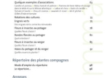 plantes-compagnes-au-potager-2