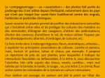 plantes-compagnes-au-potager-bio-2-614x900